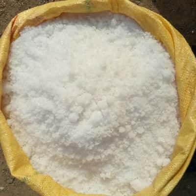 regenerator Salt